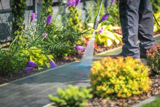 Best Gutter Cleaning  in Lehighton, PA