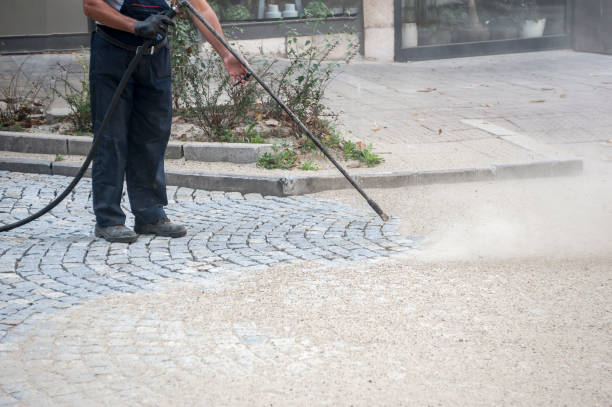 Best Pre-Holiday Cleaning  in Lehighton, PA